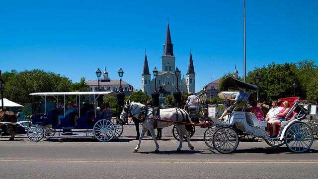 carriage ride in new orleans